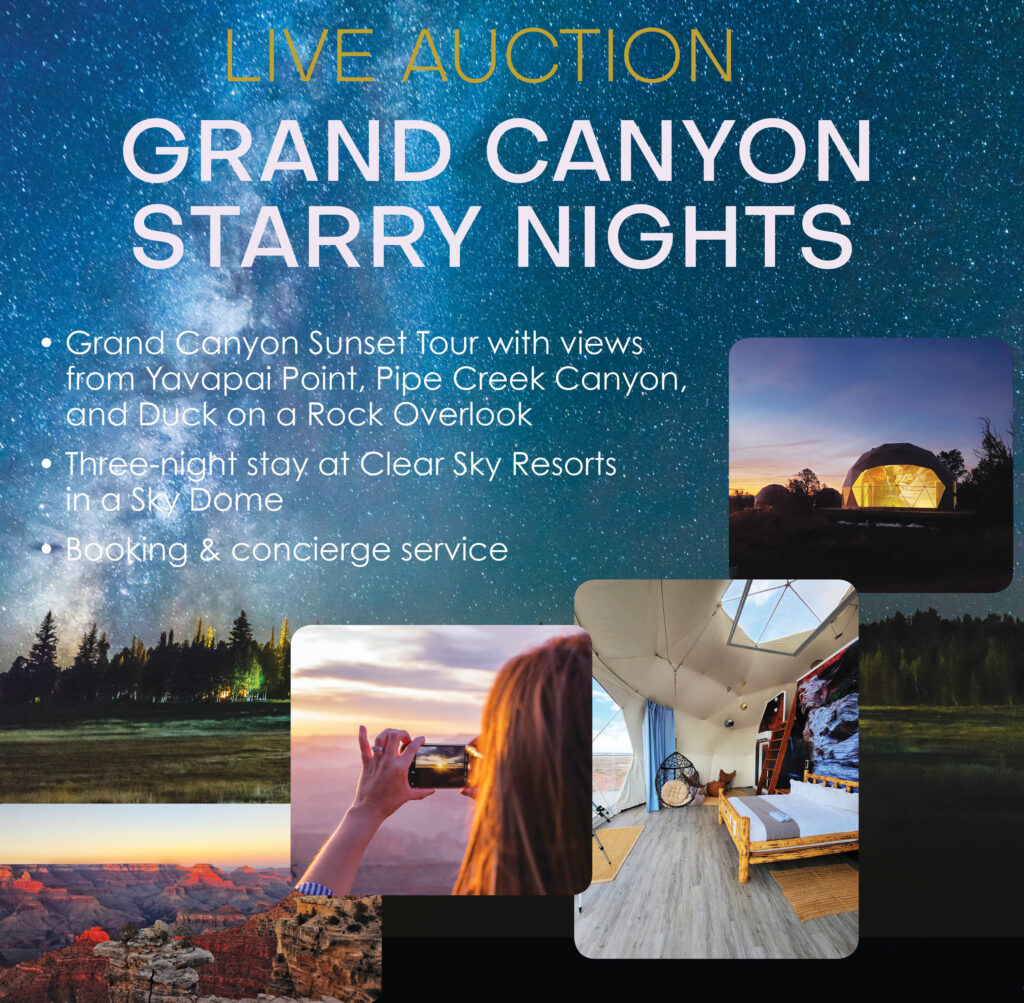 A poster describing the Grand Canyon Starry Nights trip